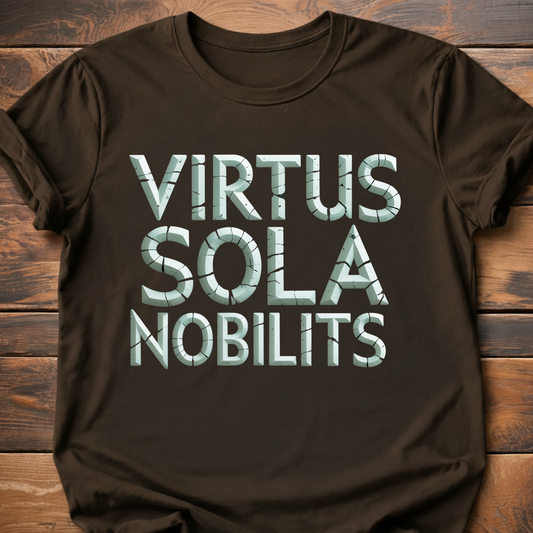 Valor Alone is True Nobility T-Shirt
