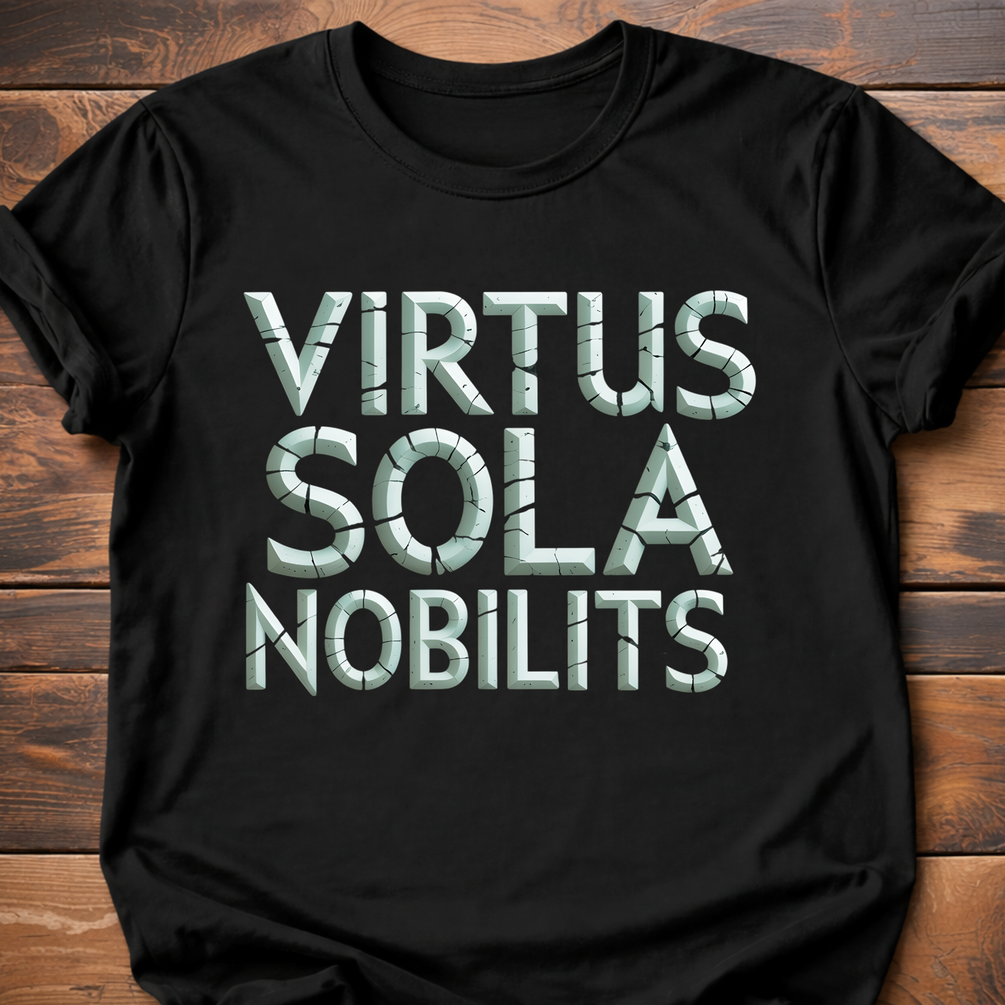 Valor Alone is True Nobility T-Shirt