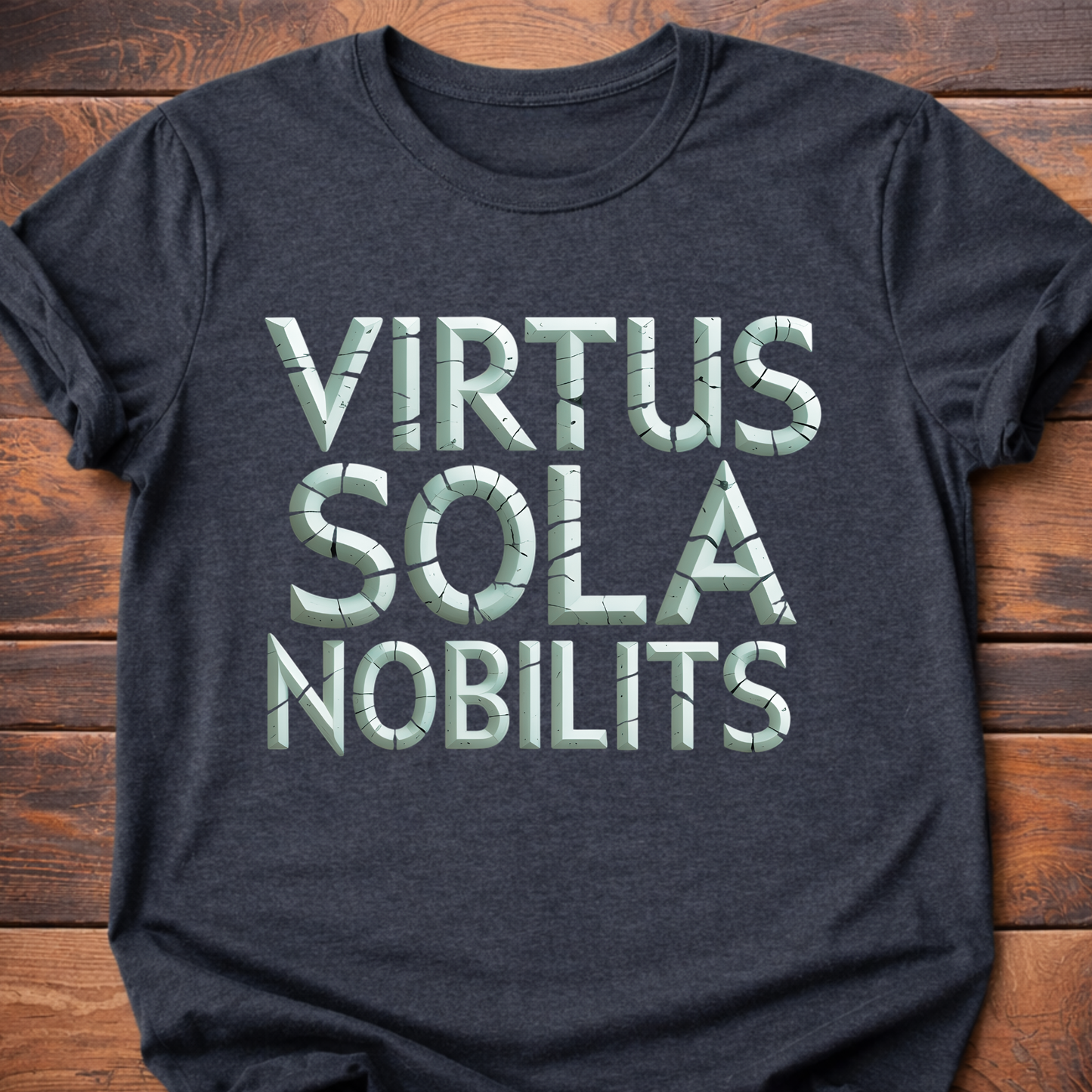Valor Alone is True Nobility T-Shirt