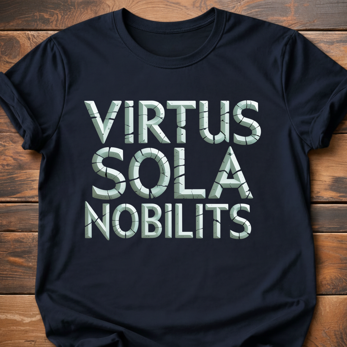 Valor Alone is True Nobility T-Shirt