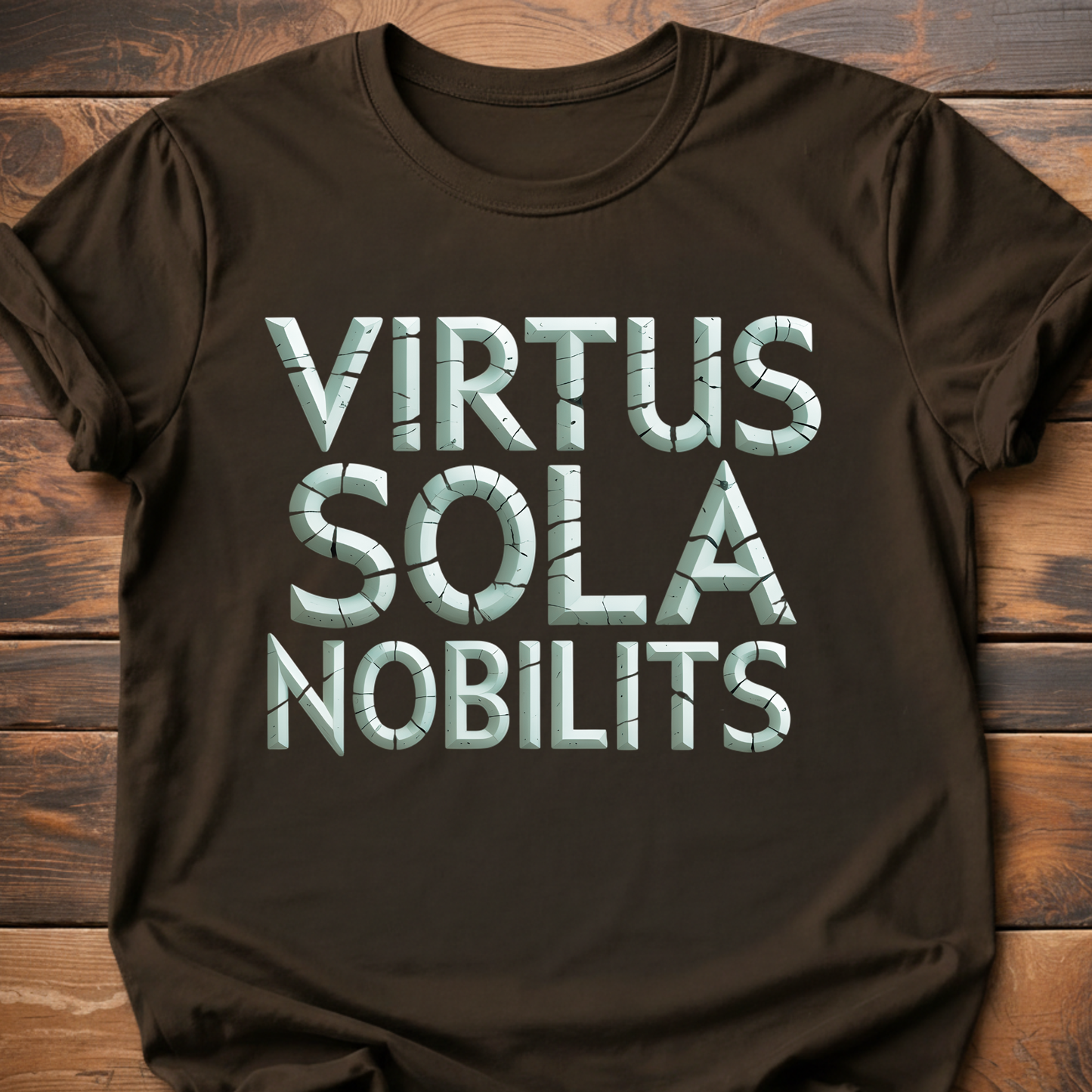 Valor Alone is True Nobility T-Shirt